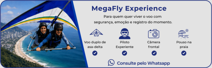 Megafly Experience