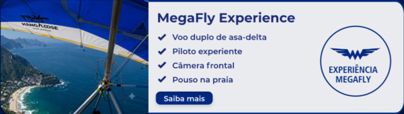 Megafly Experience